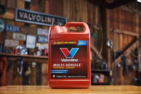 Valvoline Antifreeze Coolant,1 gal.,Concentrated  719009